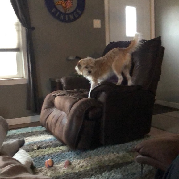 Meet your Posher, Jared - Picture 1 of 1